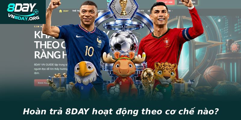 Hoàn trả 8DAY hoạt động theo cơ chế nào?