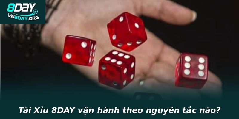 Tài Xỉu 8DAY vận hành theo nguyên tắc nào?
